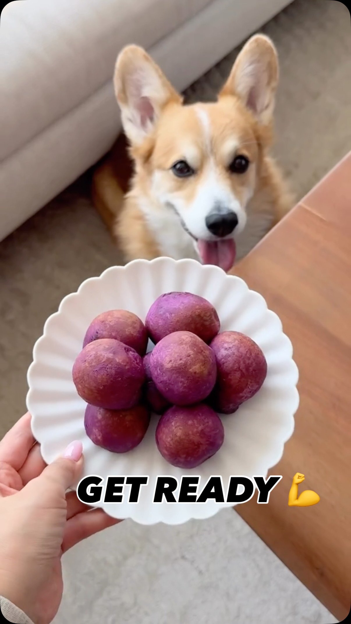 @eatingwithkirby GET READYYYY 💪

My 10 DAY EASY HACKS + SERIES officially starts tomorrow 💕 I put a lot of blood, sweat, and tears into this so I really hope you like it!!! 😭😭

✨Make sure to follow @eatingwithkirby if you haven’t already and catch you tmr! 👍

#easyrecipes #foodhacks #10daysofeasyhacksandrecipes