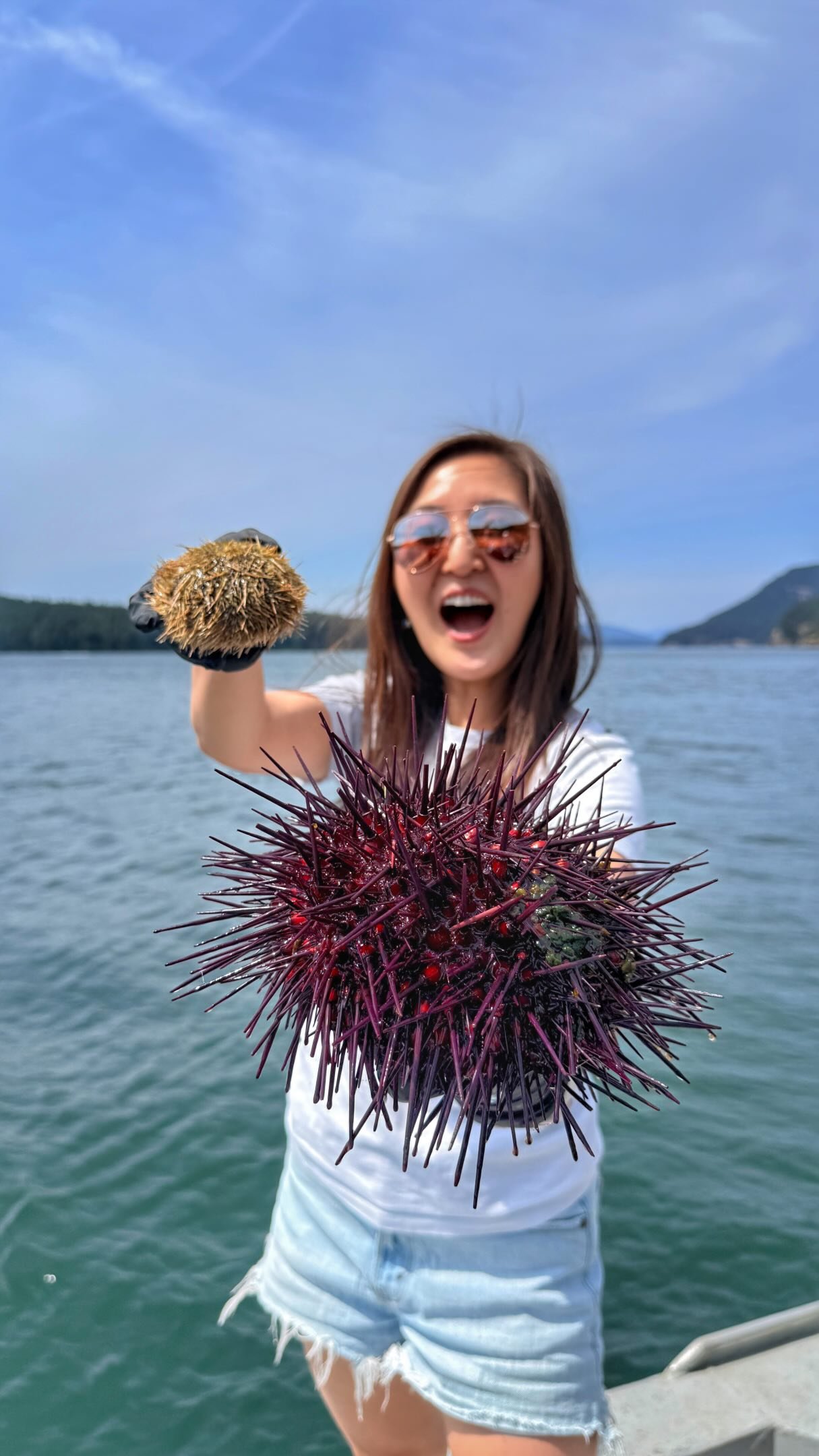 ✅ Checked this off the bucket list! 

TY @eatfish.everyday and @diverscatchbc for letting me tag along your uni & sea cucumber harvesting trip! 🥹⛴️

By the way, if you like unlimited uni, sea cucumber, and geoduck, you should 100% buy tix to the upcoming Divers Catch Gala on Sept 19th 🤭

(Not sponsored) #vancouverfoodie #uni #harvestingtrip